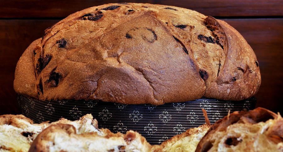 Panettoni artigianali panettoni artigianali