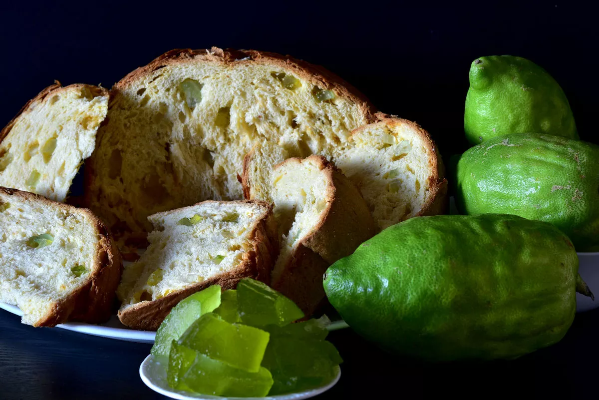 Cedar panettone