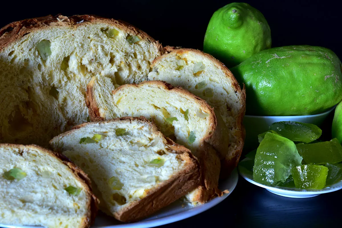 Cedar panettone