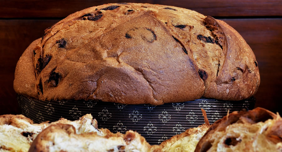Panettoni artigianali panettoni artigianali